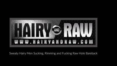 HAIRYANDRAW Hairy Harper Davis Masturbates And Anal Plays - icpvid.com