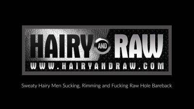 HAIRYANDRAW Hairy Harper Davis Masturbates And Anal Plays - drtuber.com
